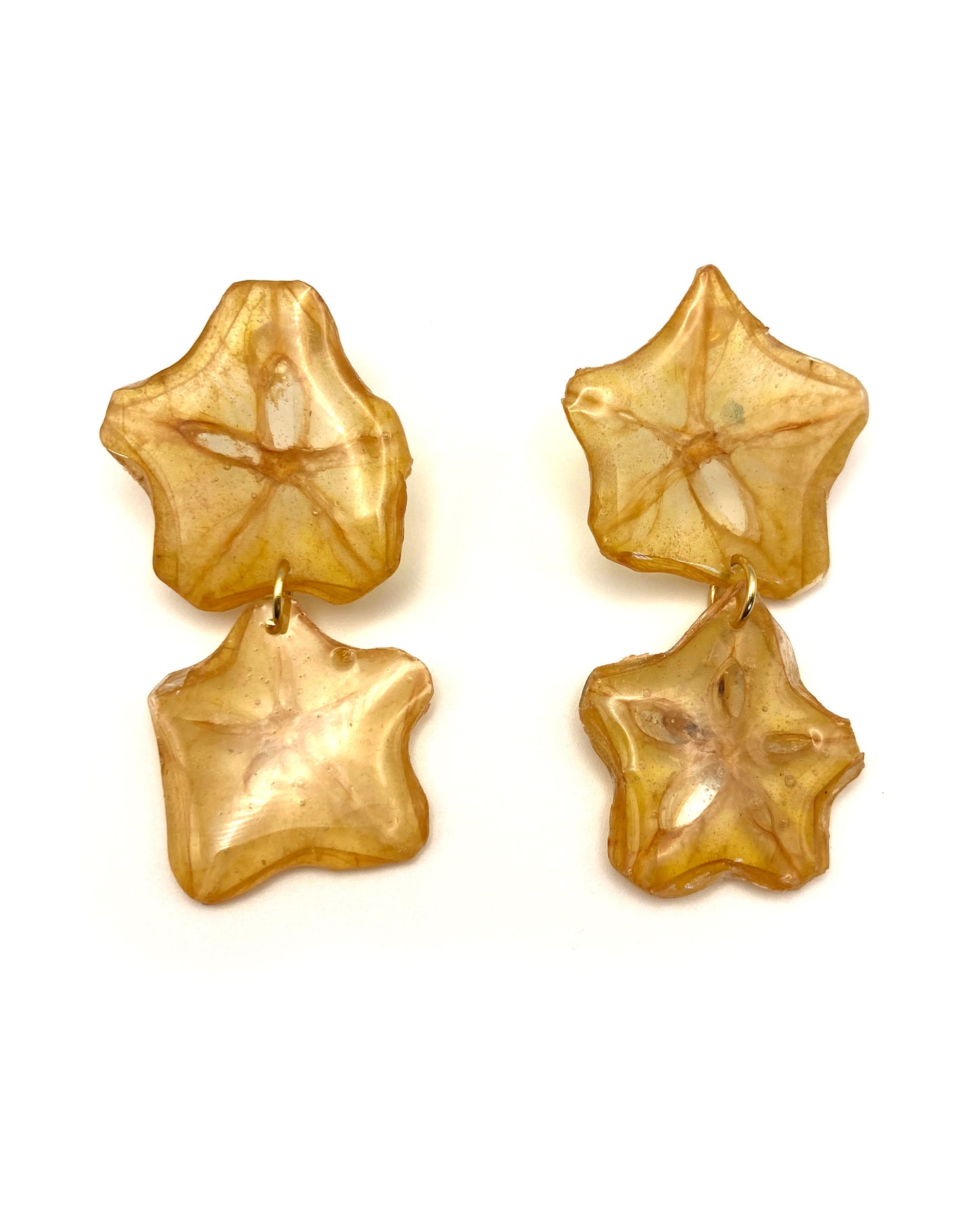 Cosmic Pair - Star Fruit - Earrings