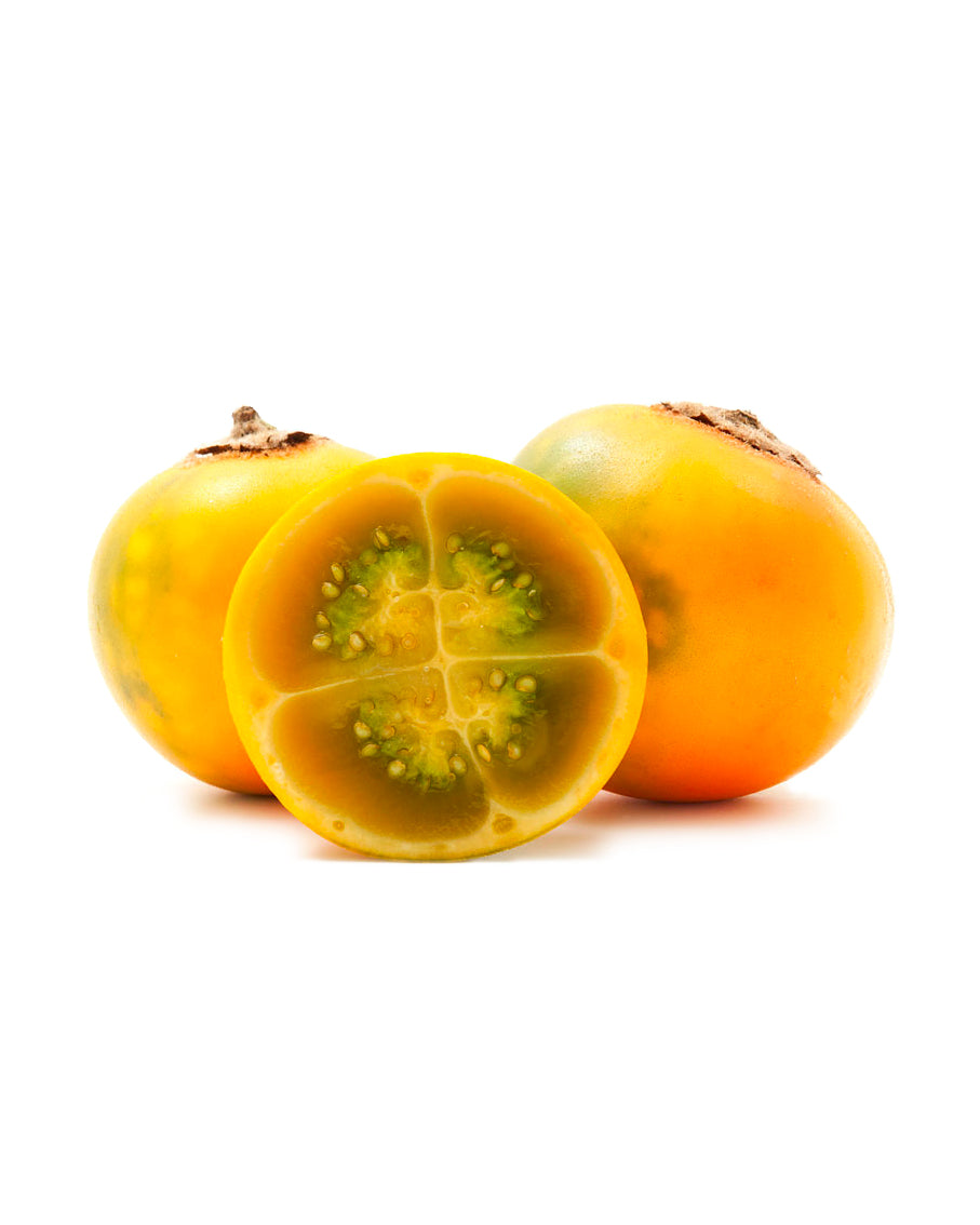 real-fruit-jewelry-lulo-earrings-natural-gold-silver-yellow-brown-liliana-salazar