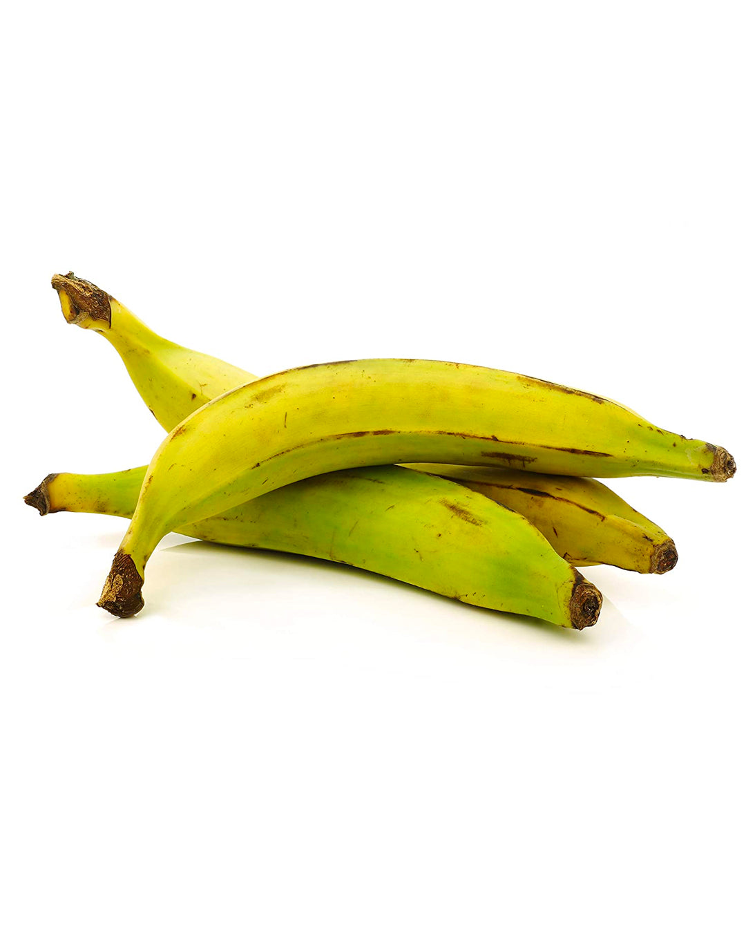 Abundant - Root - Adjustable Bracelet + Arm-band