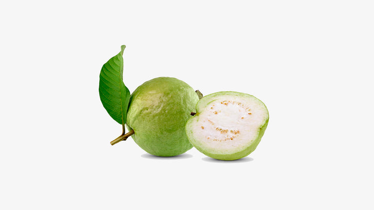 real GUAVA SEEDS jewelry