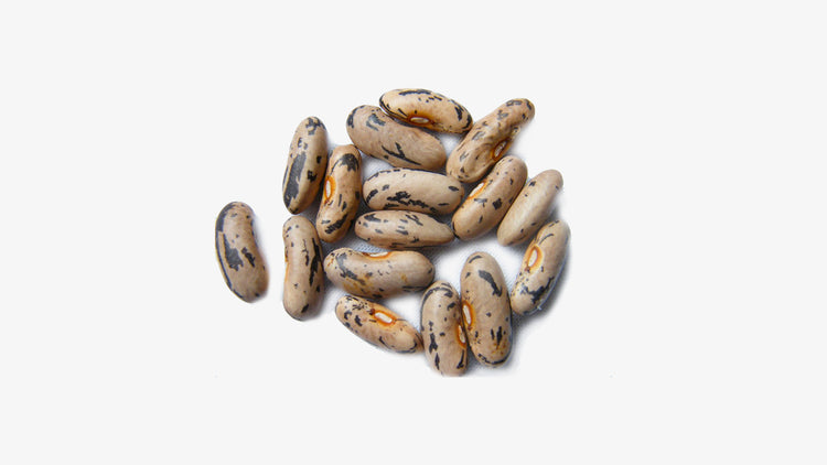real KAMAJURO SEEDS jewelry