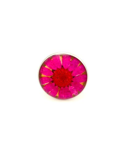 Ring Around a Daisy