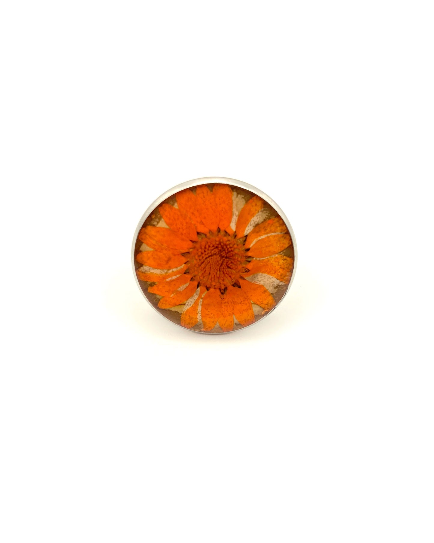 Ring Around a Daisy