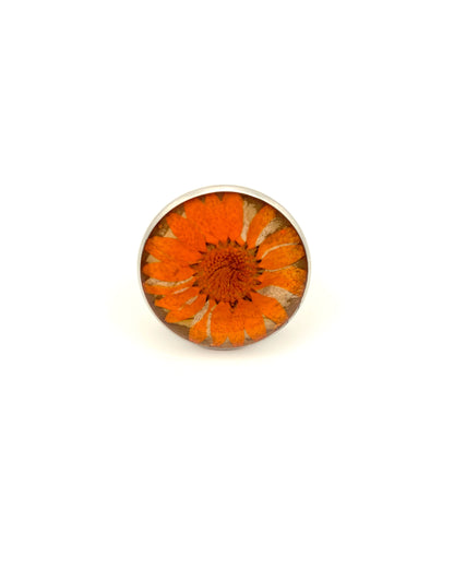 Ring Around a Daisy