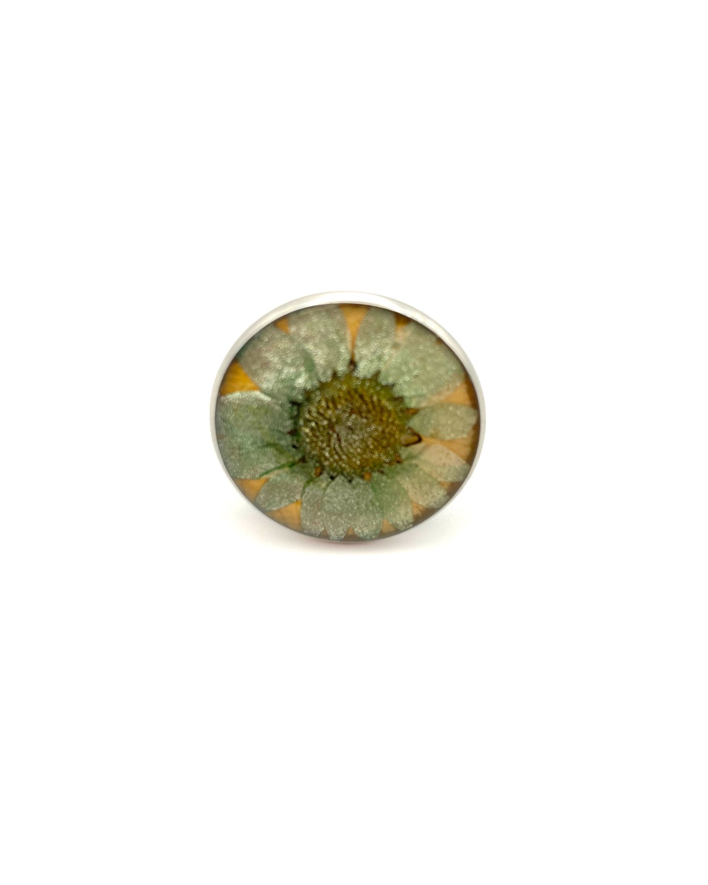 Ring Around a Daisy