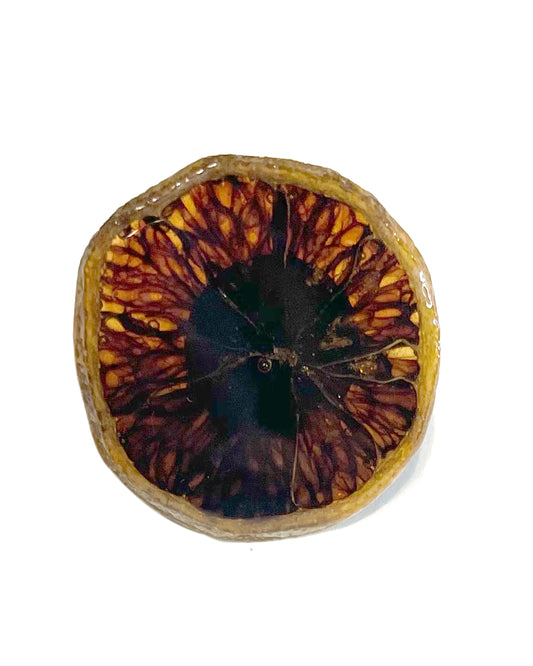 Moon Circle Ring